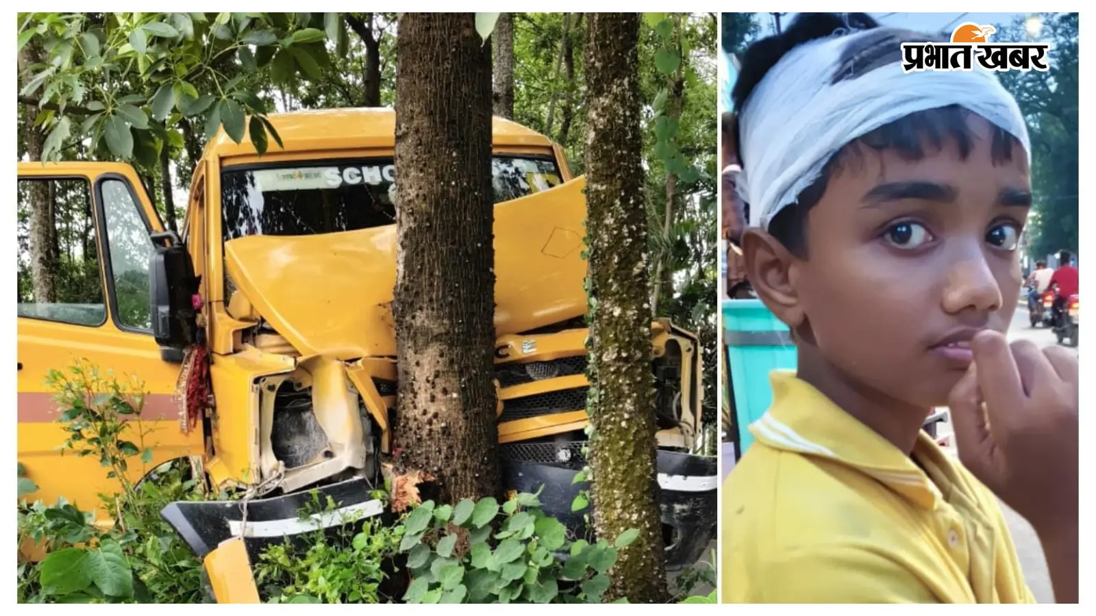 शिवहर: तरियानी के सिरसिया चौर के पास डीएवी नरहां की स्कूल बस पेड़ से टकराई, एक दर्जन छात्र घायल