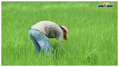 प्रखंड प्रमुख ने कृषि मंत्री को लिखा पत्र, रोसड़ा के किसानों के लिए गुणवत्तापूर्ण धान और मक्का बीज उपलब्ध कराने की मांग