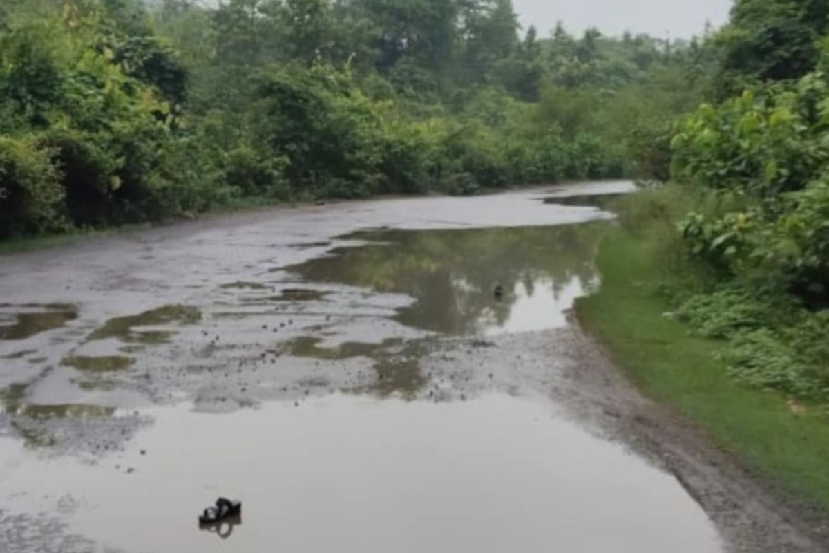 बटिया घाटी के तीखे मोड की स्थिति