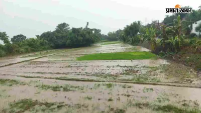मूसलाधार बारिश से भीषण गर्मी से मिली राहत, खिले किसानों के चेहरे और धान रोपनी में आई तेजी