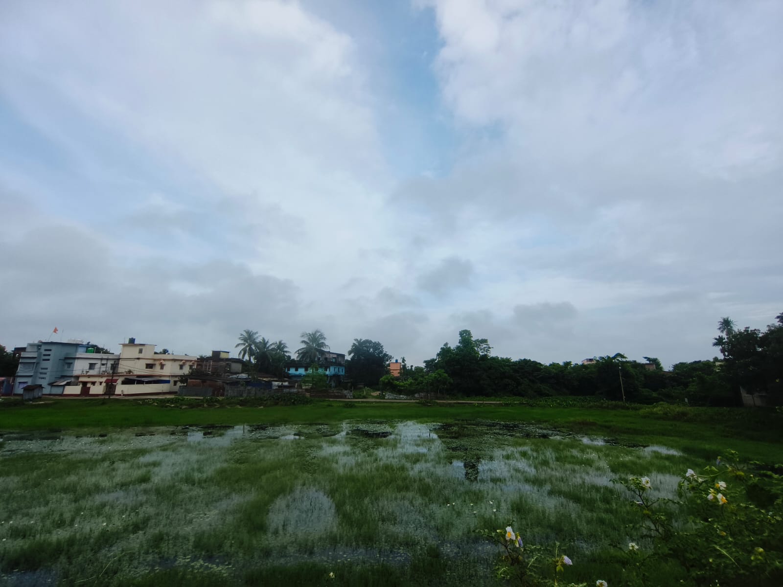 सावधान रहें ! किशनगंज के कई प्रखंडों में 100 फीसदी तक बारिश की संभावना, जलभराव की आशंका