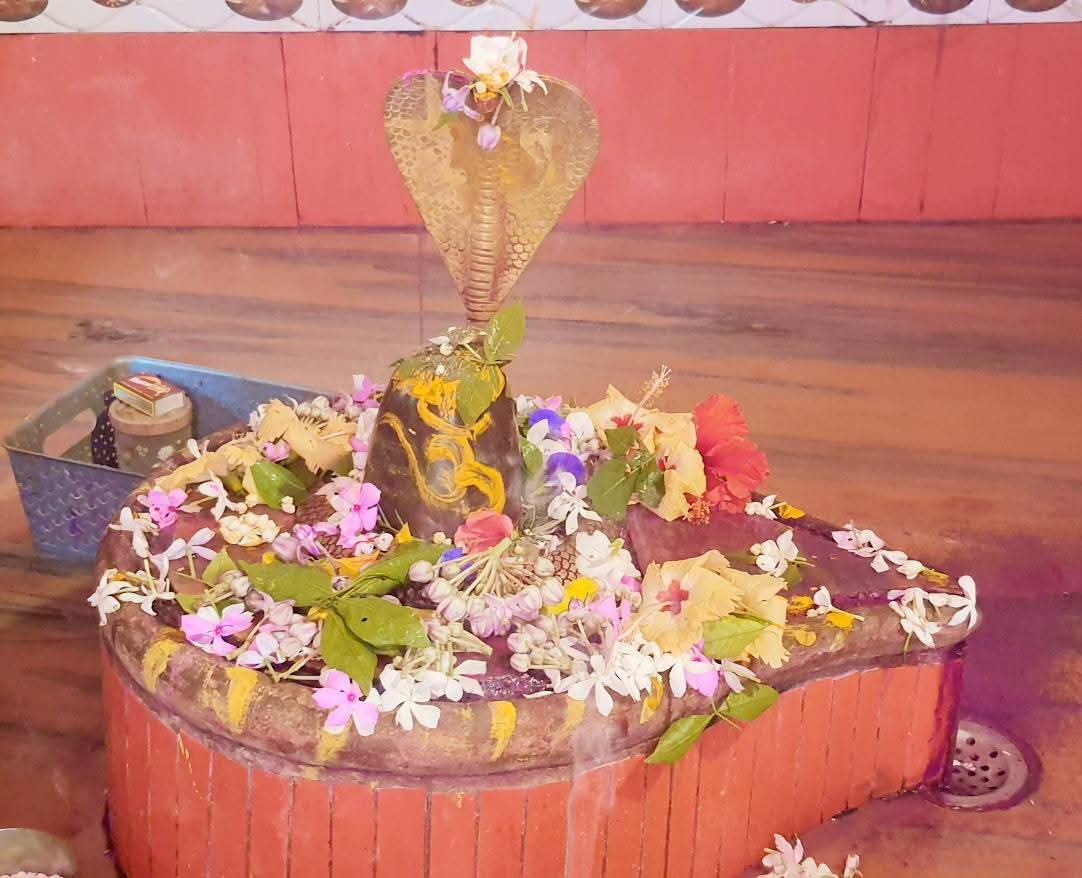 कटोरिया में योगिनी एकादशी की धूम: शिवमंदिरों और ठाकुरबाड़ियों में उमड़े श्रद्धालु