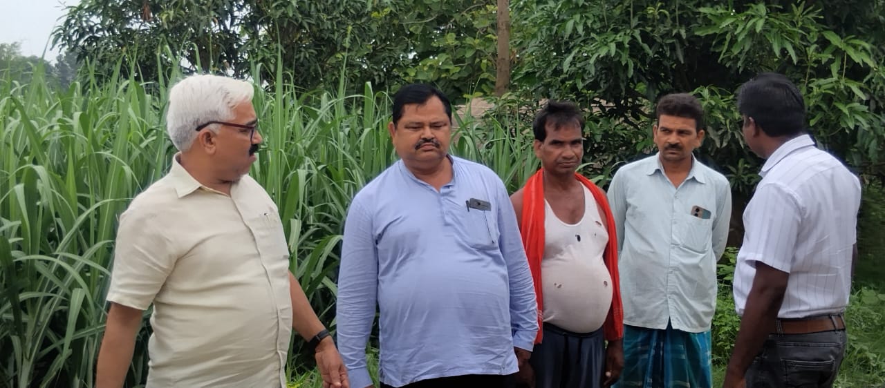पहली बार गन्ने की मानसून प्लाटिंग, थरुहट की रेतीली जमीन पर लहलहाएगी फसल, एक अगस्त से शुरुआत