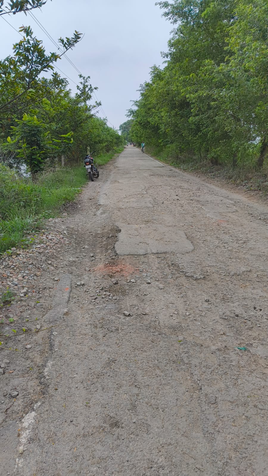 कैमूर में 3 साल में ही उखड़ गई सड़क, बरसात में बहपुरा-लहुरबारी पर बढ़ा खतरा, हर दिन हो रहे हादसे