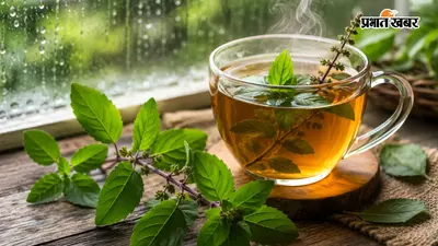 मानसून में रोज पिएं तुलसी की चाय, मिलेंगे चौंकाने वाले फायदे