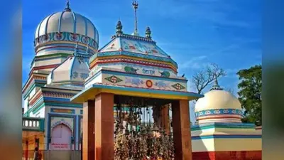 दरौली में नीलगाय के हमले से बाइक सवार गंभीर घायल