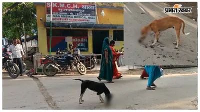 SKMCH परिसर में आवारा कुत्तों के मुंह में दिखा मानव अवशेष, अस्पताल की सुरक्षा पर उठे बड़े सवाल