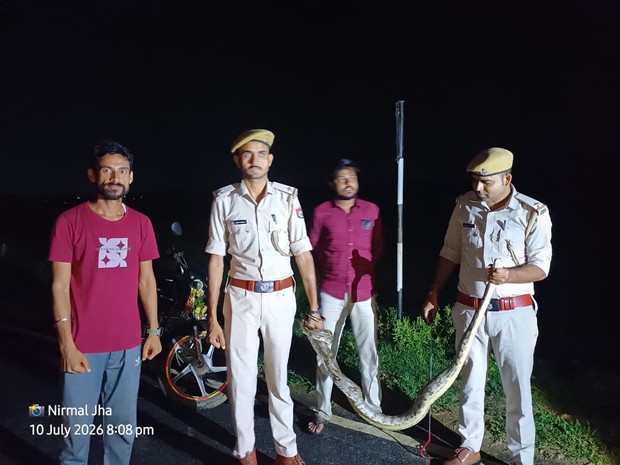 मंदार मार्ग पर दिखा 8 फीट लंबा अजगर, वन विभाग ने सुरक्षित रेस्क्यू कर जंगल में छोड़ा