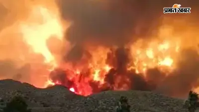 स्पेन के जंगल में लगी आग; 12 की मौत, भागने की कोशिश बनी मौत की वजह, सामने आया डरावना वीडियो
