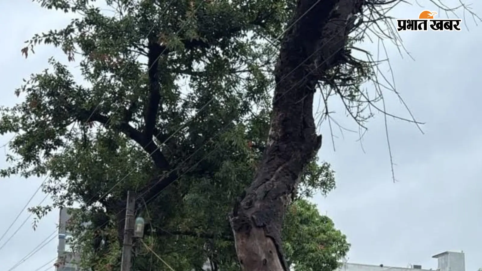 वैशाली में बारिश बनी मुसीबत, महुआ के गांवों में घंटों बिजली गुल, पानी के लिए तरसे लोग