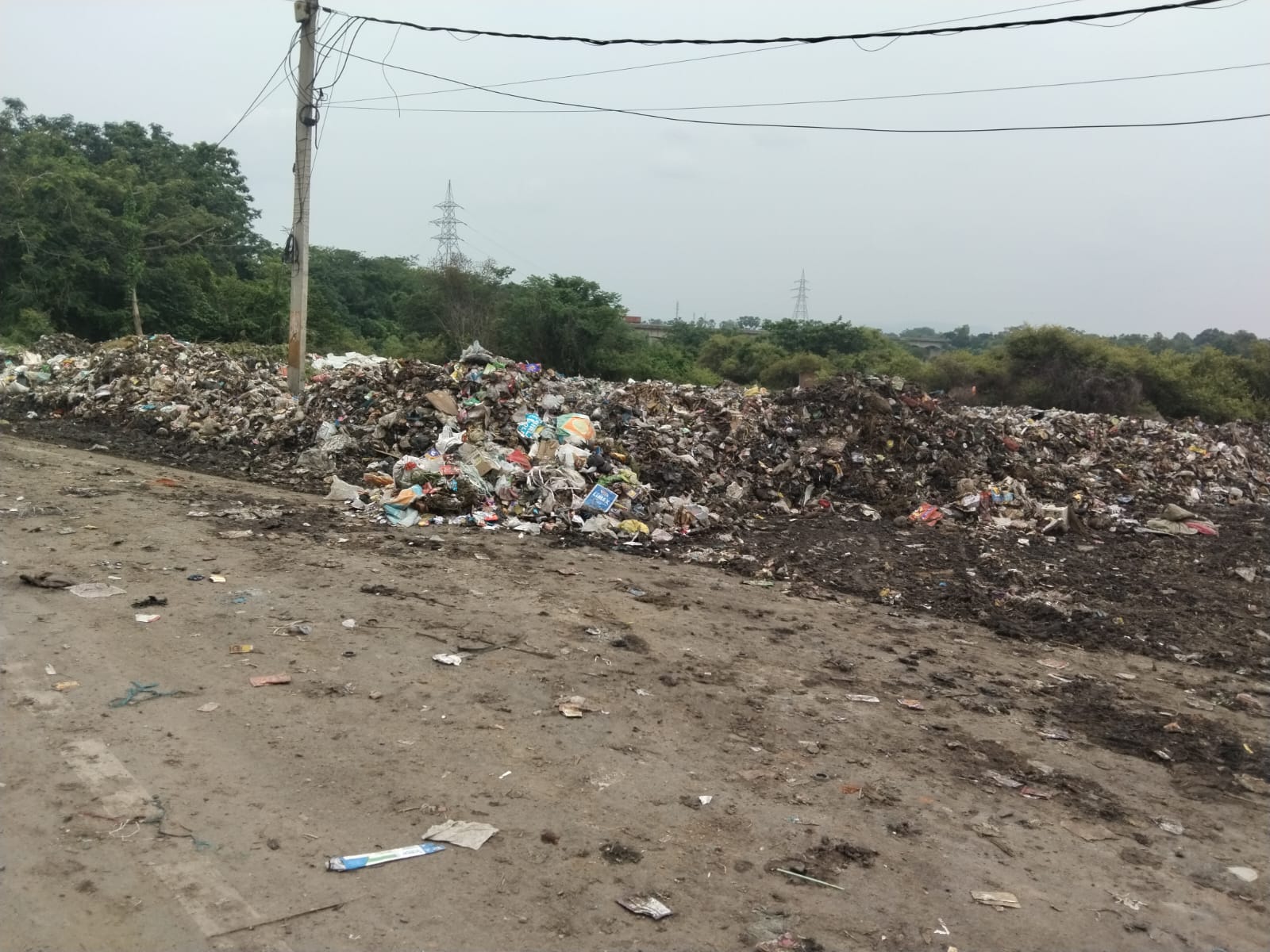 लखीसराय के प्रवेश द्वार पर ही नगर परिषद डंप कर रहा शहर का कूड़ा: NH-80 किनारे सड़ांध से राहगीर बेहाल