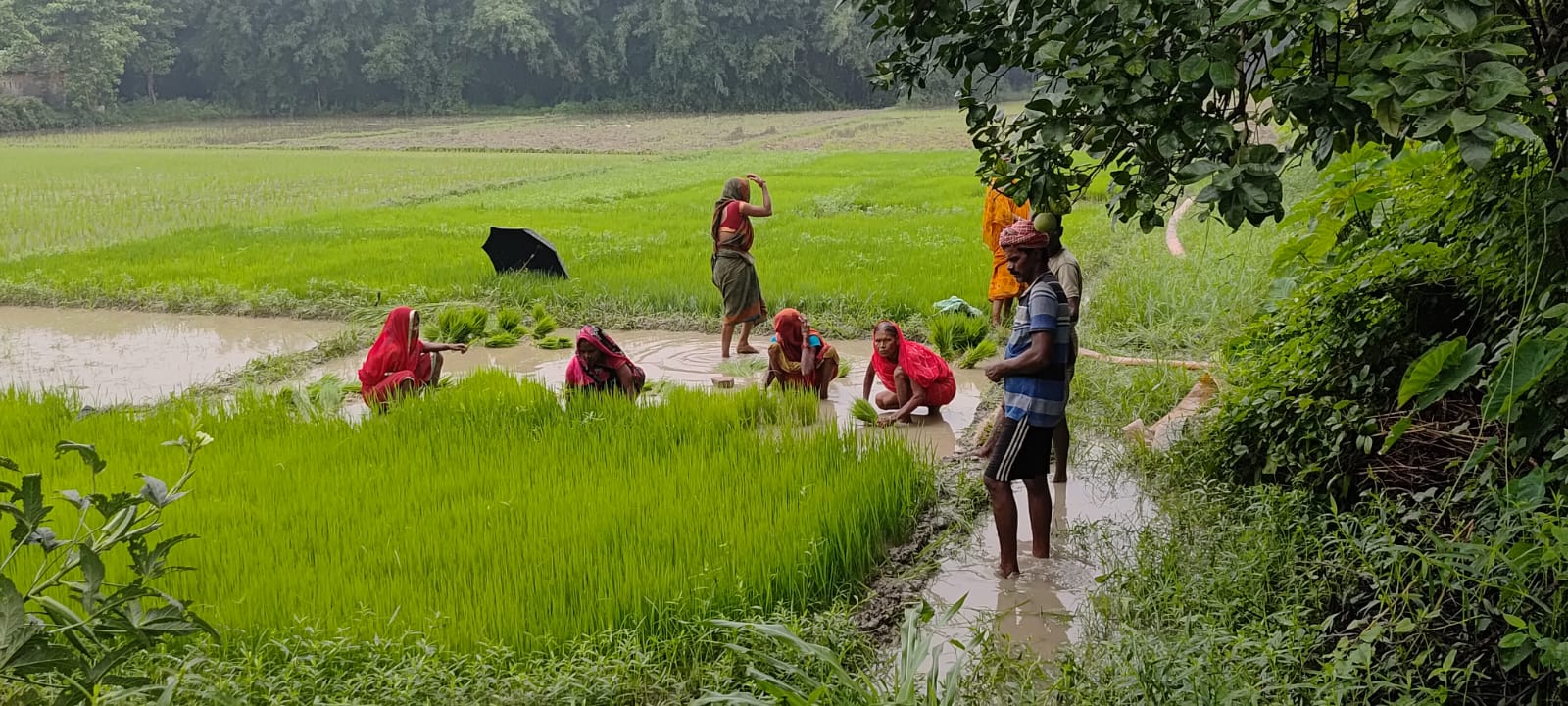 सुपौल में राहत की बारिश बनी मुसीबत, गांधी मैदान झील में तब्दील, शहर की सड़कों पर जलजमाव से बढ़ी परेशानी