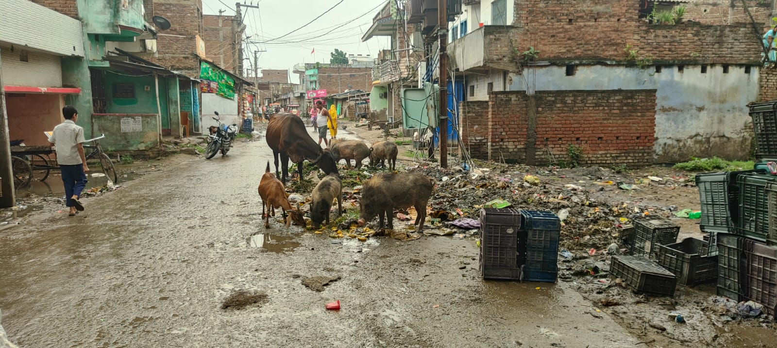 गोगरी में नगर परिषद की लापरवाही : लाखों खर्च के बाद भी सड़क पर फैला कचरा, सफाई व्यवस्था फेल