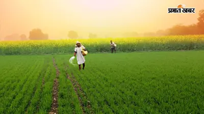 कम बारिश में भी होगी अच्छी खेती, जानिए कृषि वैज्ञानिकों ने किसानों को क्या-क्या सलाह दी?