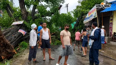 बछवाड़ा में अचानक सड़क पर गिरा विशाल पेड़, स्कूली छात्रा बाल-बाल बची, बिजली आपूर्ति ठप