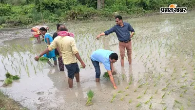 गोपालगंज: खेत में उतरकर किसानों को सिखाए धान रोपनी के गुर, वैज्ञानिक खेती पर दिया जोर