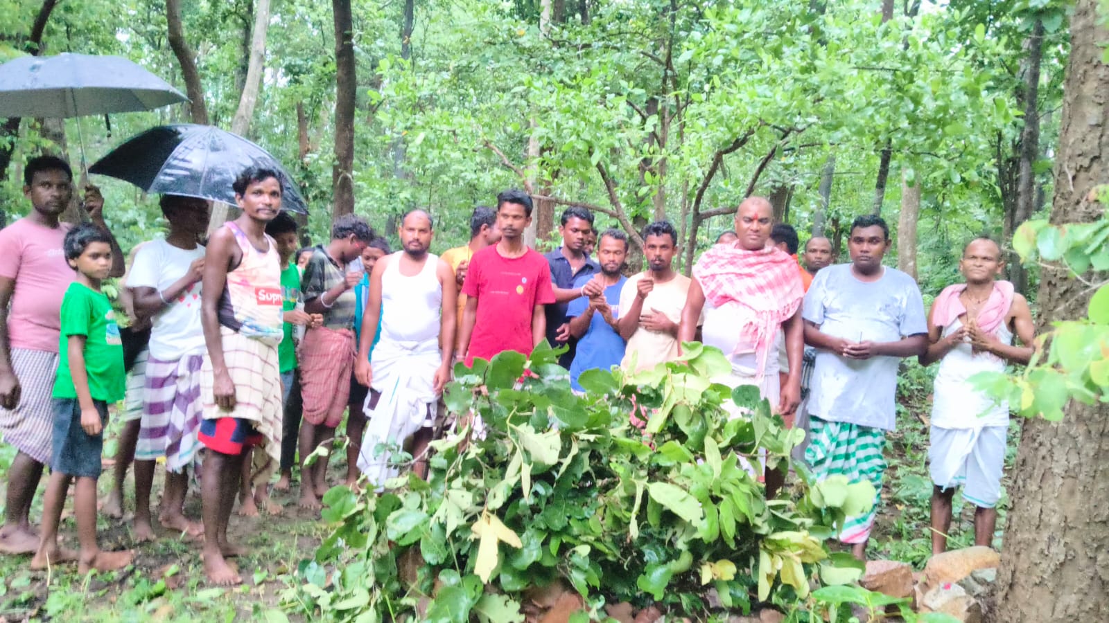 मानव और प्रकृति के समन्वय का प्रतीक है आषाढ़ी पूजा