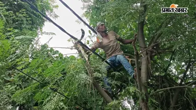 रोसड़ा में बिजली अपडेट के लिए बना WhatsApp ग्रुप, सूचना मिल रही समय पर लेकिन बार-बार कटौती से लोग परेशान