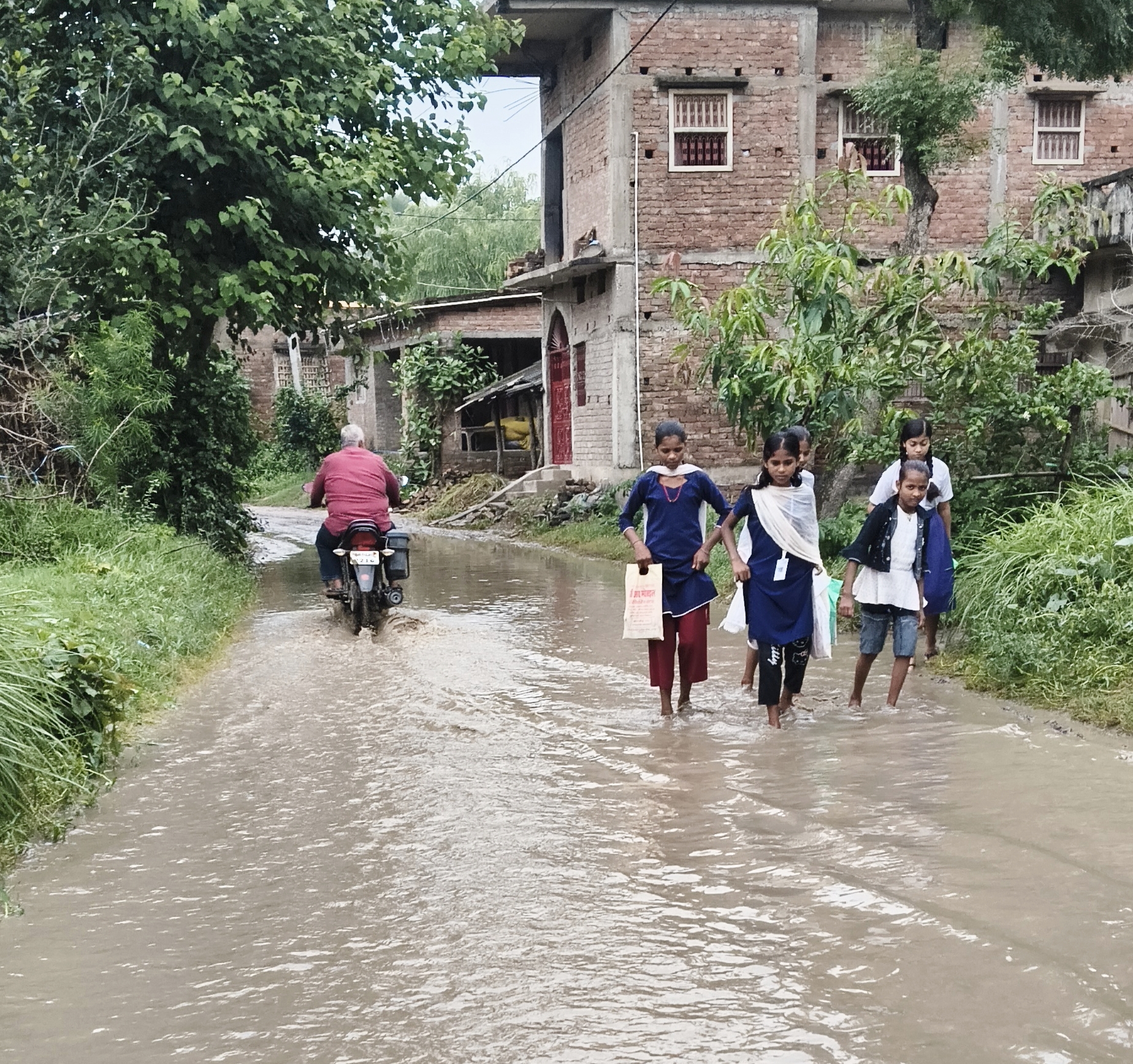 Darbhanga News: जाले में बारिश से प्रधानमंत्री ग्रामीण सड़क जलमग्न, आवागमन हुआ बाधित