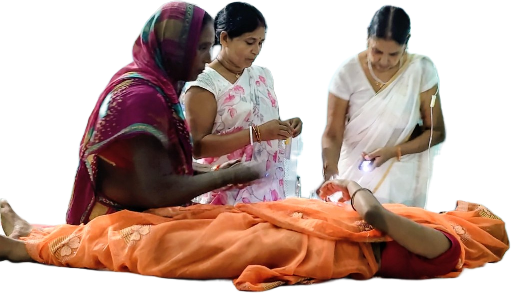 पूर्णीया में चौकी के नीचे से सब्जी निकाल रही महिला को जहरीले सांप ने डंसा, हालत गंभीर