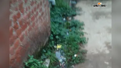 बारिश के बाद सड़क और नाली का मिटा अंतर, 'टापू' बने वार्ड 11 में नरकीय जीवन जीने को मजबूर ग्रामीण