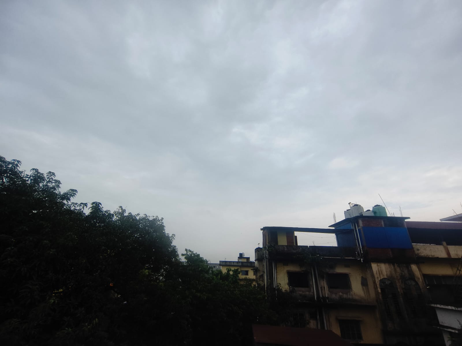 किशनगंज में आज मेहरबान रहेगा मॉनसून: ठाकुरगंज, पोठिया और दिघलबैंक में 99% बारिश के आसार