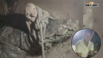 मगरमच्छ की पीठ पर बैठकर ग्रामीणों ने बनाई रील, यूपी में बारिश के बीच सामने आया हैरान करने वाला नजारा