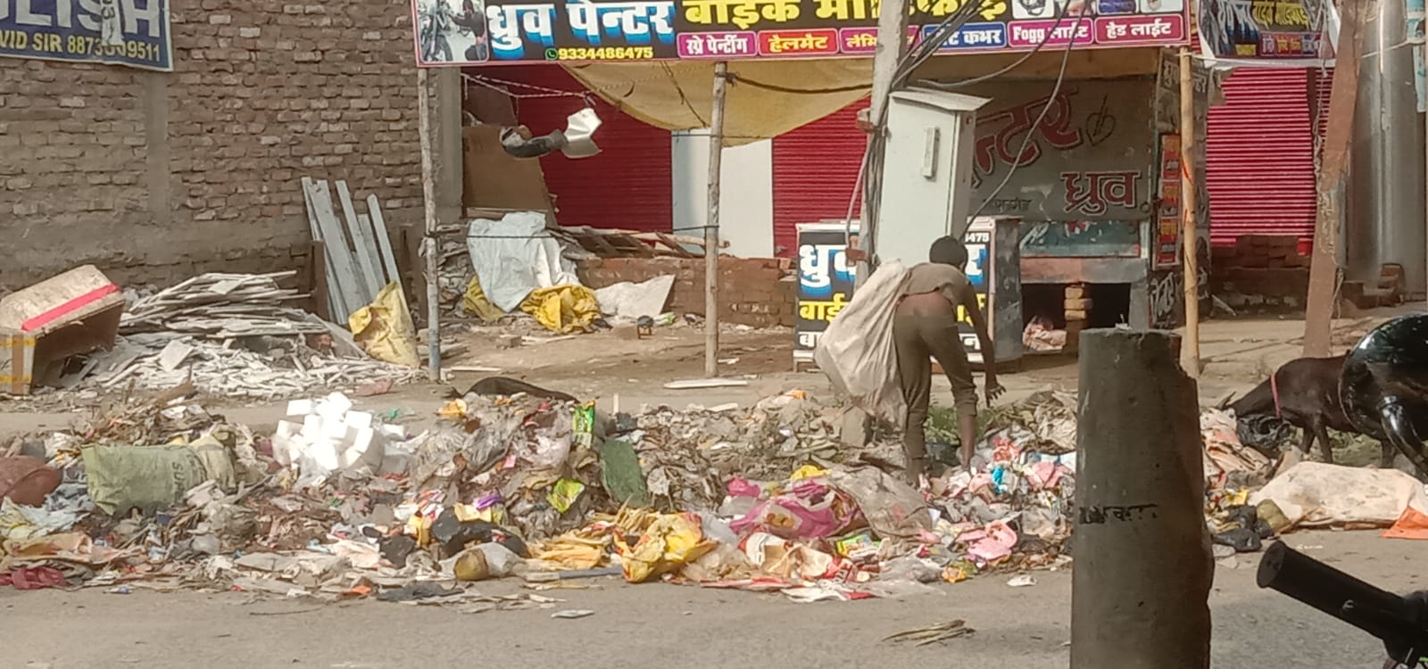 सीवान में मच्छरों का बढ़ा प्रकोप, फॉगिंग नहीं होने से डेंगू-चिकनगुनिया का खतरा, नगरवासी परेशान