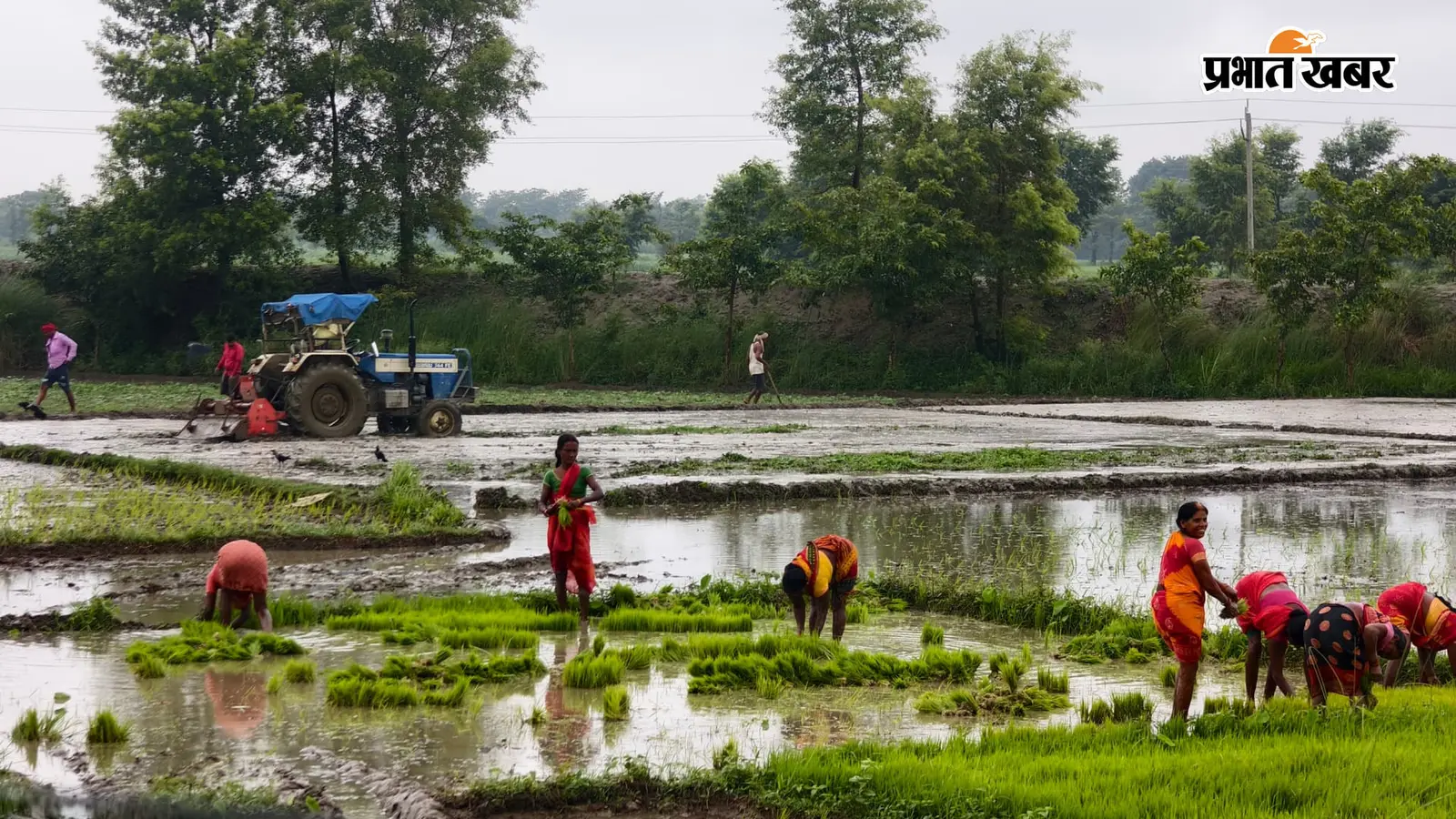 खगड़िया में झमाझम बारिश से किसानों की लौटी मुस्कान, धान रोपनी को मिली रफ्तार, जानें अगले 4 दिन कैसा रहेगा मौसम
