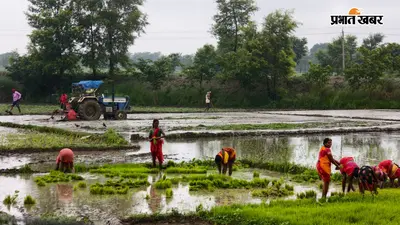 खगड़िया में झमाझम बारिश से किसानों की लौटी मुस्कान, धान रोपनी को मिली रफ्तार, जानें अगले 4 दिन कैसा रहेगा मौसम