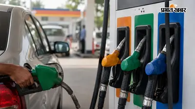 Pure Petrol, E10 या E20? जानें आपकी कार के लिए कौन-सा पेट्रोल सही और सरकार तीनों विकल्प क्यों नहीं दे सकती
