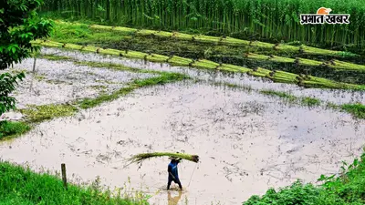 मानसून ने पकड़ी रफ्तार, मुर्शिदाबाद और बर्धमान में तेज वर्षा और वज्रपात का अलर्ट, जानें अगले 6 दिन कैसा रहेगा मौसम