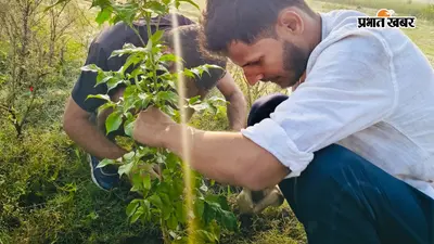 गोपालगंज के अनिमेश आनंद बने पर्यावरण की मिसाल, बिना सरकारी मदद लगाए 500 से अधिक पौधे