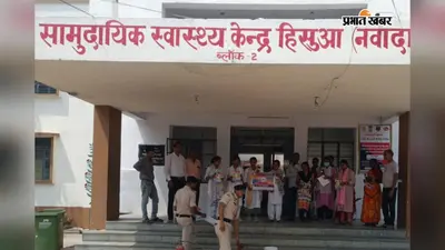 नवादा: लकड़ी दुकान में ईट हटाने के दौरान सांप ने डसा, समय पर इलाज से बची जान
