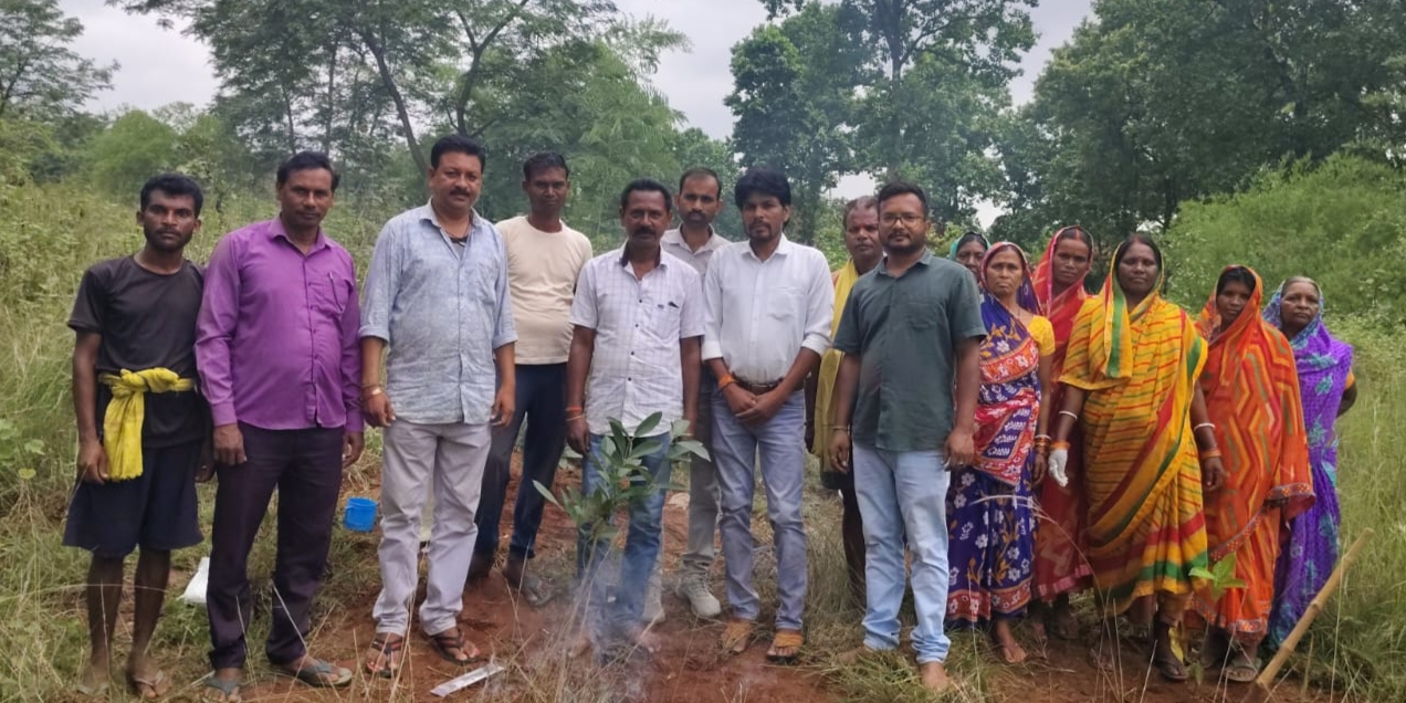 नावाडीह वन क्षेत्र में 25 हेक्टेयर में होगा पौधरोपण