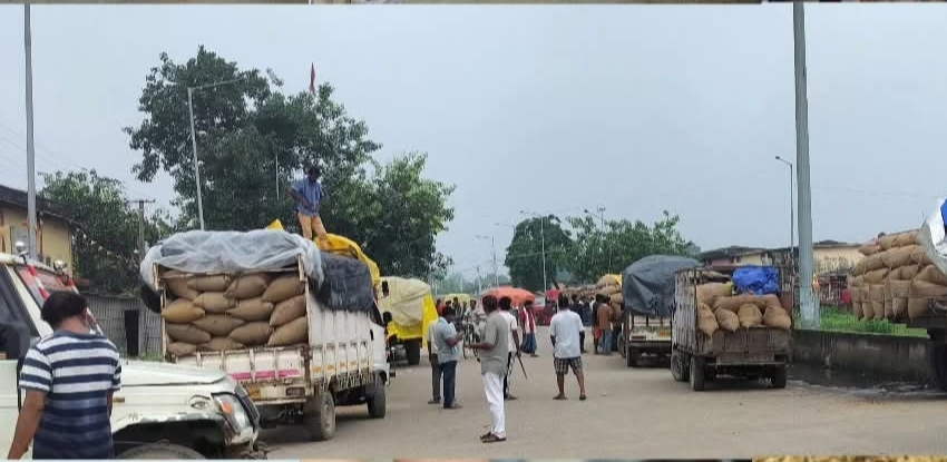 गुलाबबाग मंडी में मक्का नरम, जूट में ठहराव : कारोबारियों को अगले दो हफ्ते में तेजी की उम्मीद