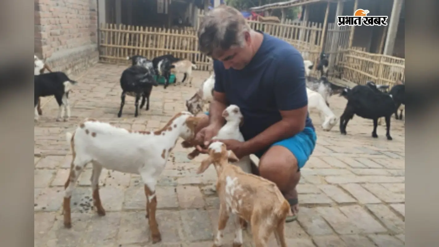 वैज्ञानिक बकरी पालन से भागलपुर के किसान संजीव बने मिसाल, आधुनिक तकनीक से कमा रहे बेहतर मुनाफा