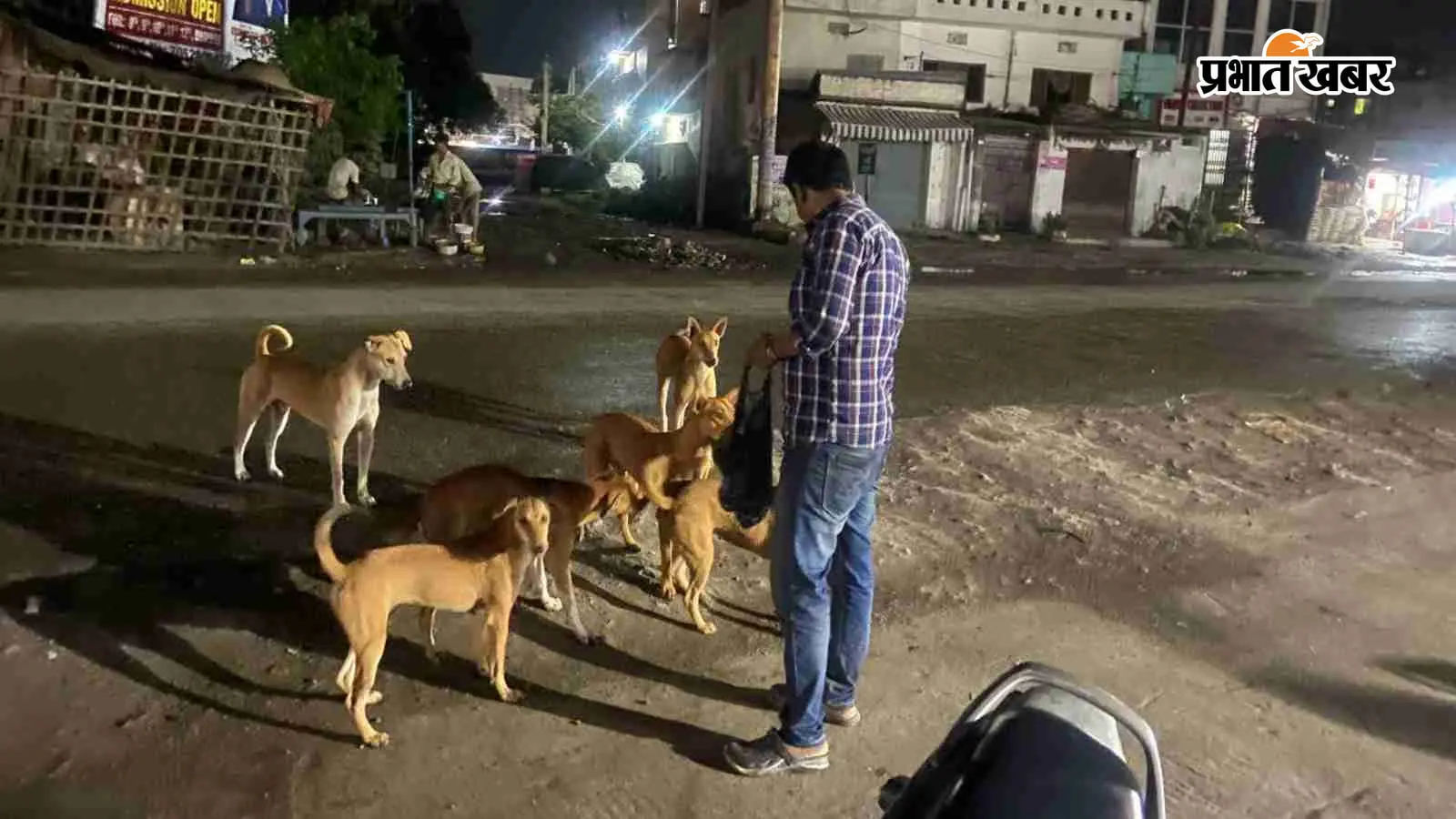 जब शहर सोता है, तब बेजुबानों का पेट भरने निकल पड़ता है ये शख्स, 10 साल से निभा रहा इंसानियत का फर्ज