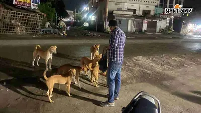 जब शहर सोता है, तब बेजुबानों का पेट भरने निकल पड़ता है ये शख्स, 10 साल से निभा रहा इंसानियत का फर्ज