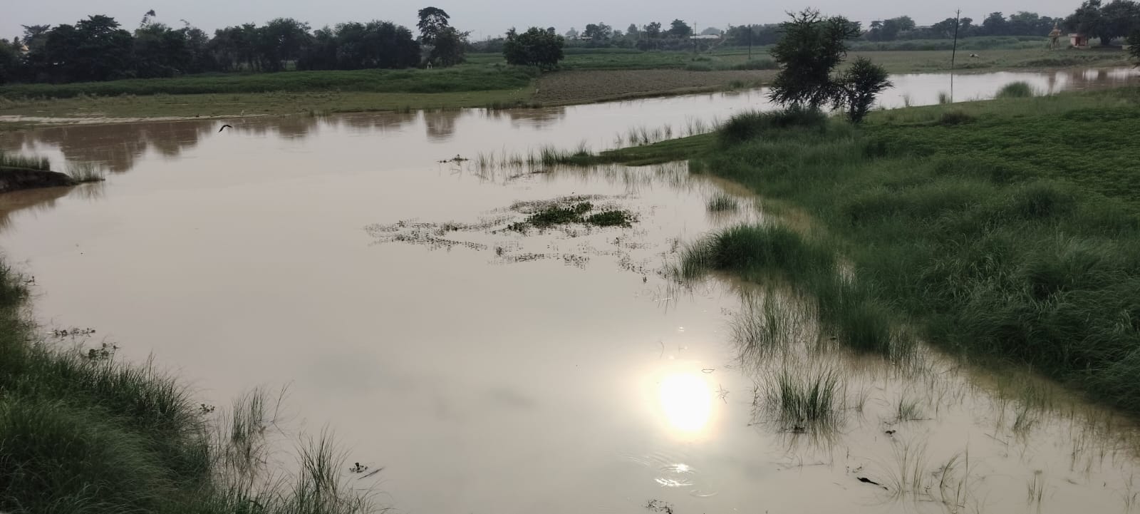 नेपाल में भारी बारिश का असर, कुशेश्वरस्थान पूर्वी में बढ़ा बाढ़ का खतरा