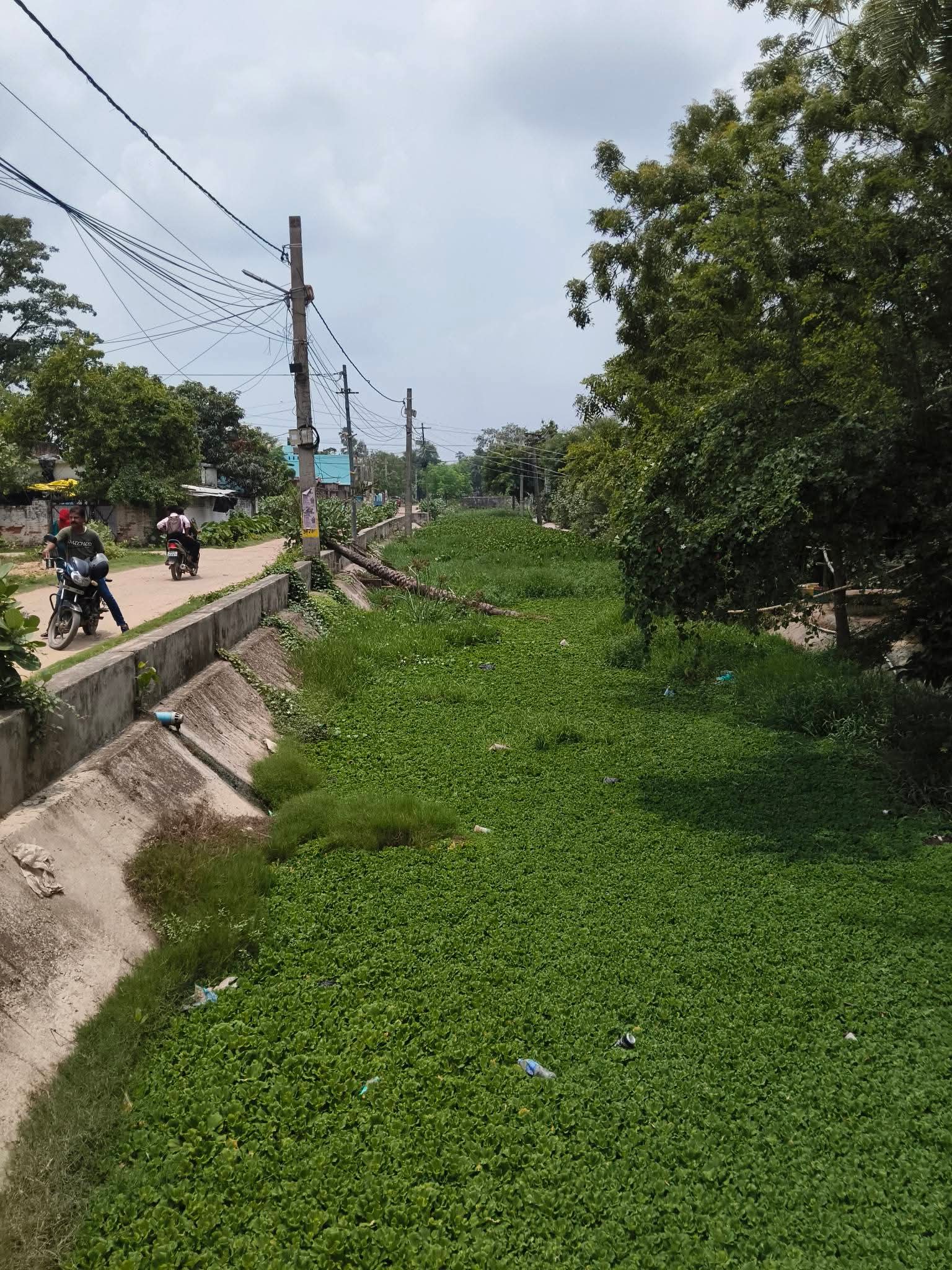 बारिश के बाद जलजमाव से लोग परेशान, नाला सफाई के दावों पर उठे सवाल