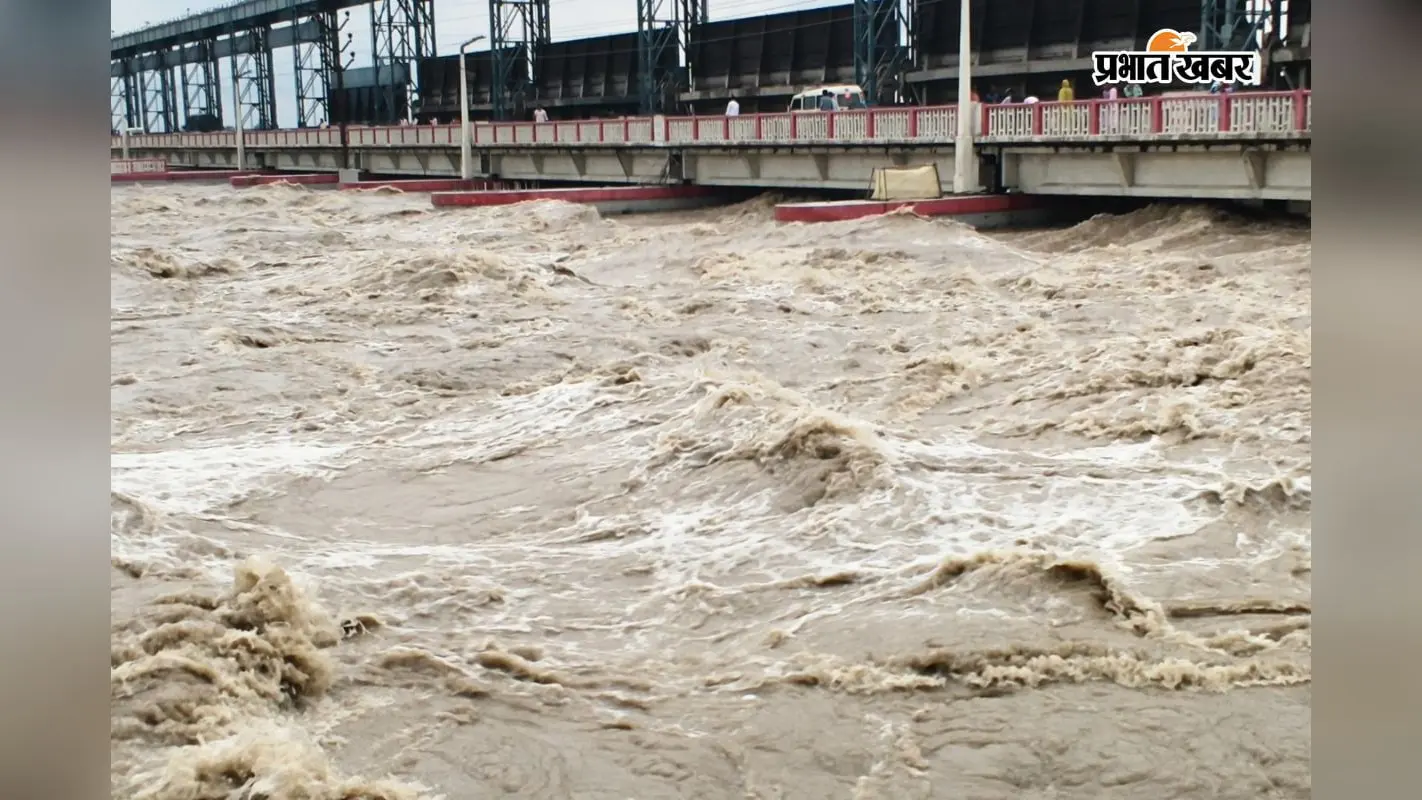 नेपाल में बारिश के बाद बढ़ा कोसी नदी का जलस्तर, वीरपुर बराज पर 1.72 लाख क्यूसेक पहुंचा डिस्चार्ज