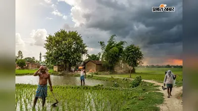 भागलपुर में मानसून की बारिश से किसानों को बड़ी राहत: धान की रोपनी और बिचड़ा डालने के काम में आई तेजी