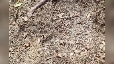मुजफ्फरपुर में सुबह-सुबह बड़ी वारदात, शौच के लिए निकले युवक की अपराधियों ने की निर्मम हत्या