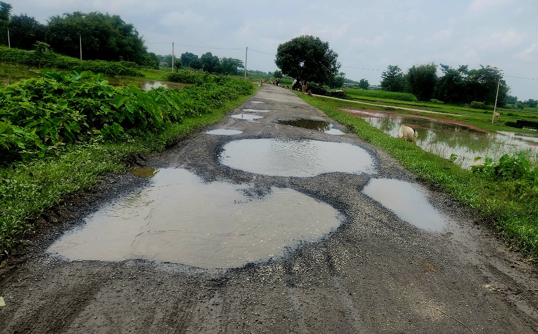 सड़क में गड्ढे या गड्ढों में सड़क? जर्जर मार्ग बना हादसों की वजह