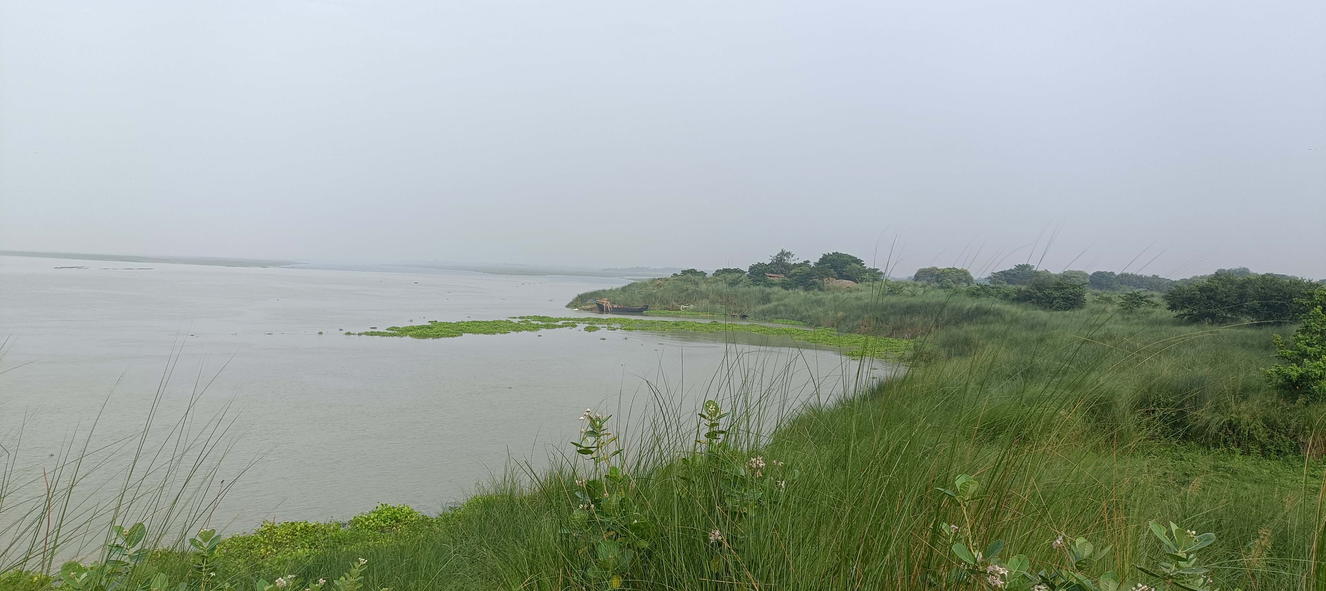 नवगछिया में गंगा और कोसी के जलस्तर में भारी उछाल: निचले इलाकों में फैलने लगा बाढ़ का पानी