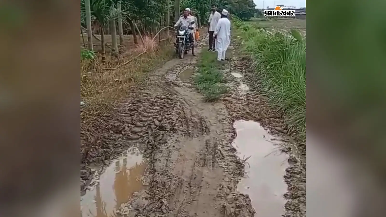 कीचड़ भरे रास्ते से निकली दूल्हे की बारात, धनगढ़ा पंचायत में सड़क की बदहाली ने फिर खोली विकास की पोल