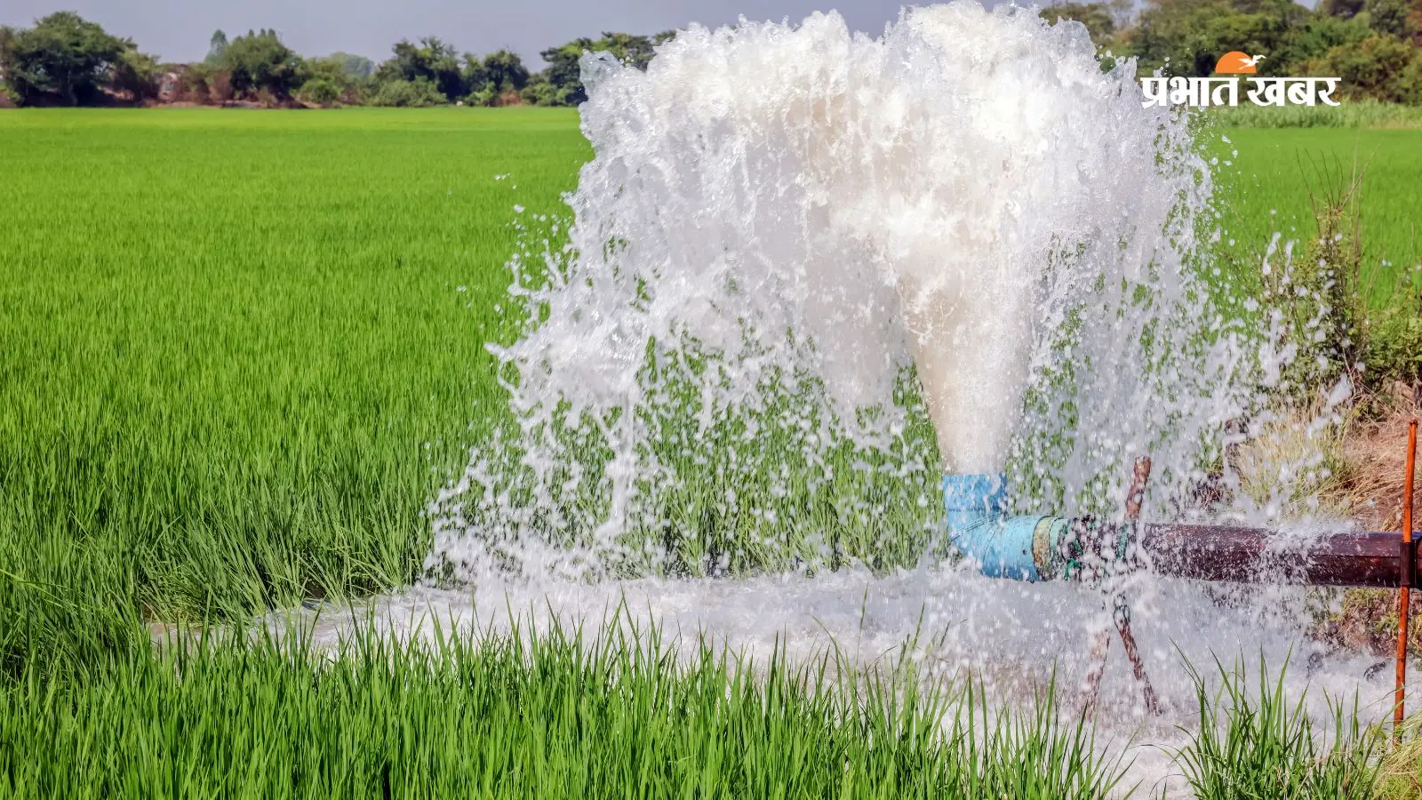 हर गांव का बनेगा Water Budget, पानी की जरूरत और उपलब्धता का होगा वैज्ञानिक हिसाब, जानिए नई सरकारी पहल का पूरा प्लान
