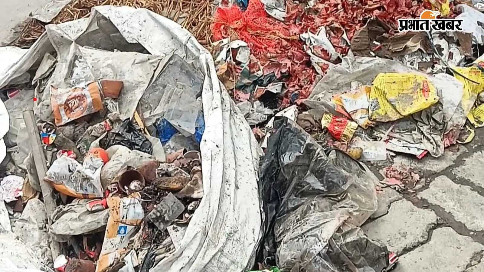 सारण के मढ़ौरा में सफाई कर्मियों की हड़ताल पांचवें दिन भी जारी, शहर में कचरे का अंबार