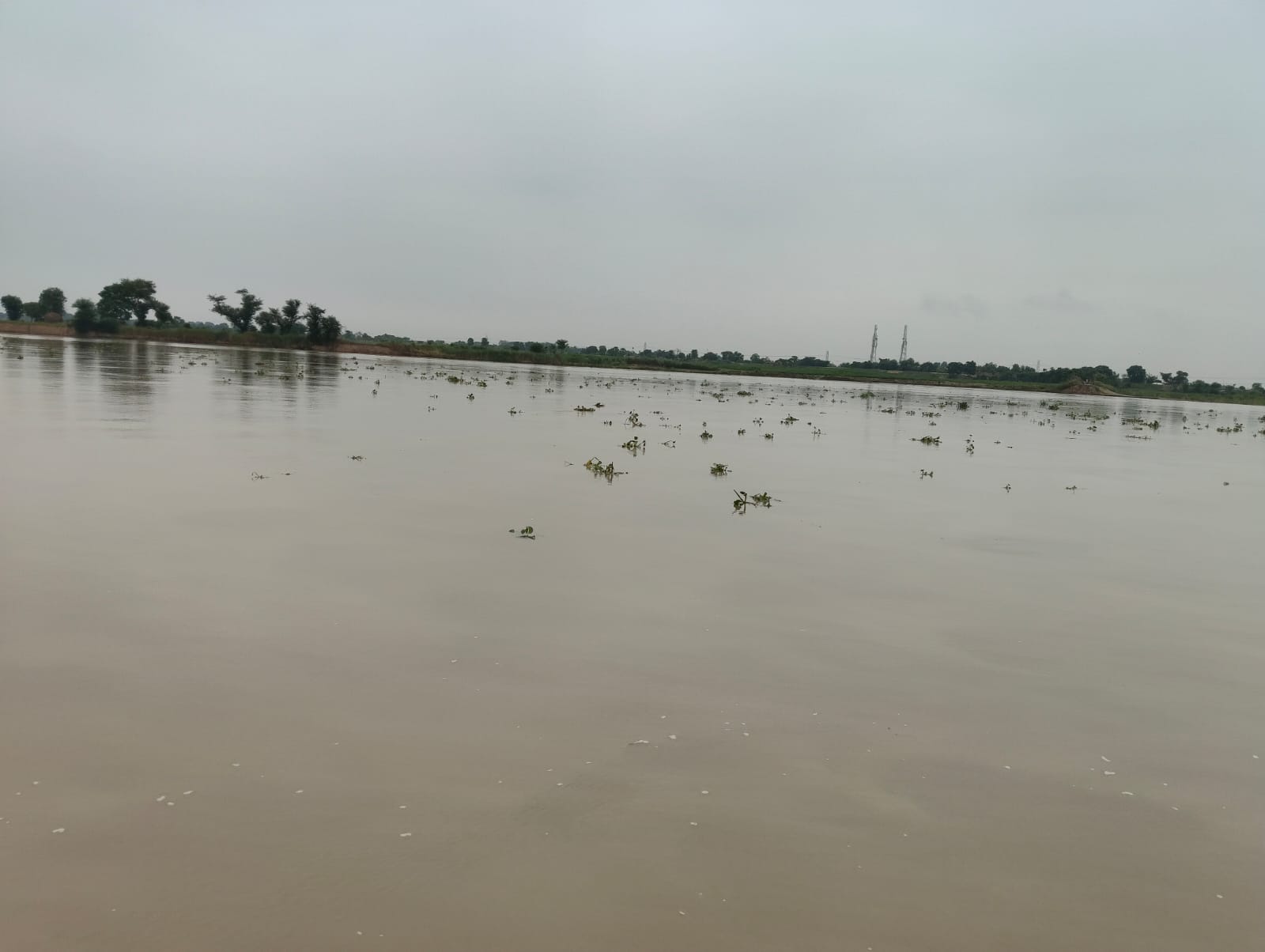नेपाल में भारी बारिश का असर, चौथम में कोसी-बागमती का जलस्तर बढ़ा, निचले इलाकों में बाढ़ जैसे हालात